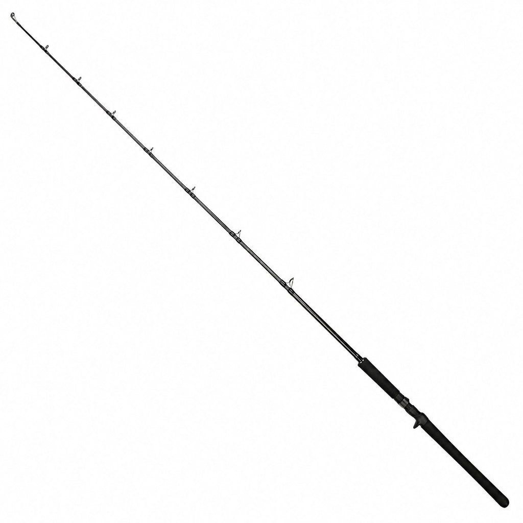 Vara Carretilha Shimano Solara SLSC60XXH 6'0 30-80lb
