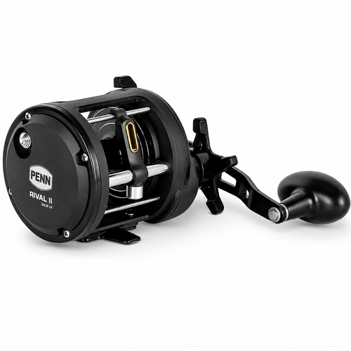 Carretilha Penn Rival II 30LW/LWLH